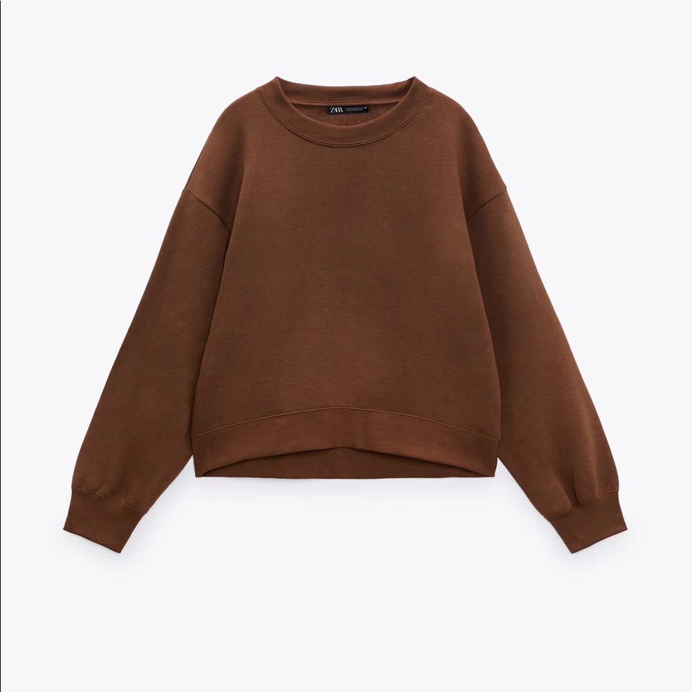 🤎 NWT ZARA Basic Sweatshirt 🤎